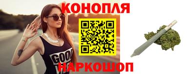 СК Гатчина