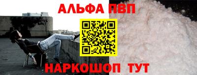 СК Гатчина