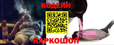 СК Гатчина