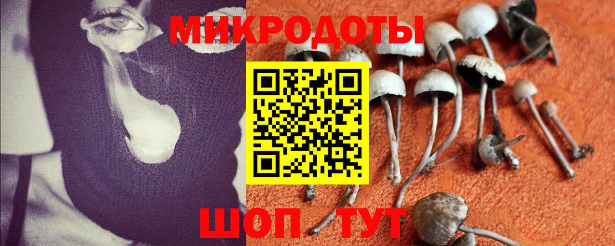 Псилоцибиновые грибы MAGIC MUSHROOMS  Псилоцибиновые грибы Magic Shrooms  Вход с VPN  Междуреченск 
